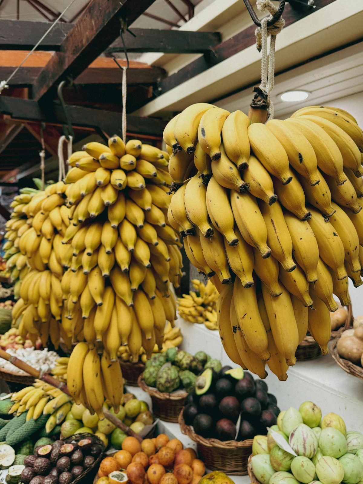 Fresh banana bunches hanging at a produce market