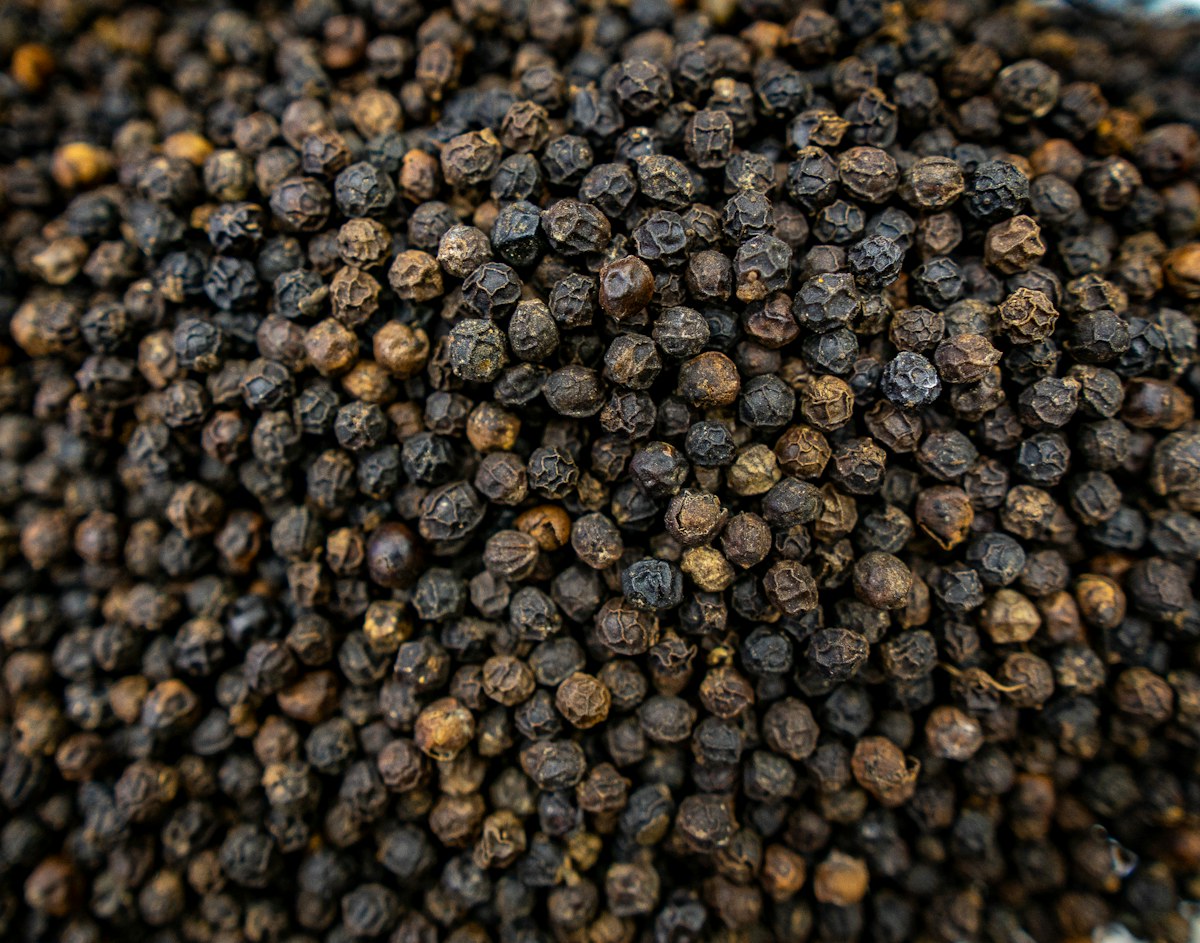 Dried whole black peppercorns in close-up