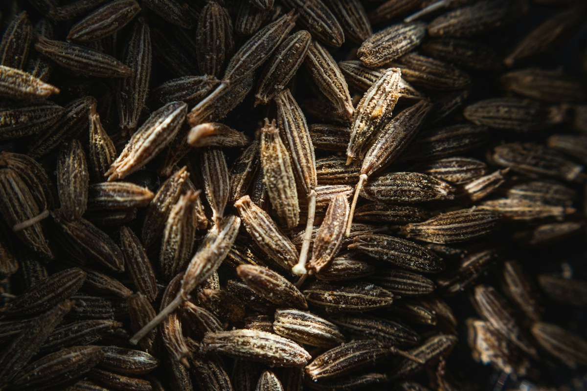 Whole elongated cumin seeds with ridged surfaces