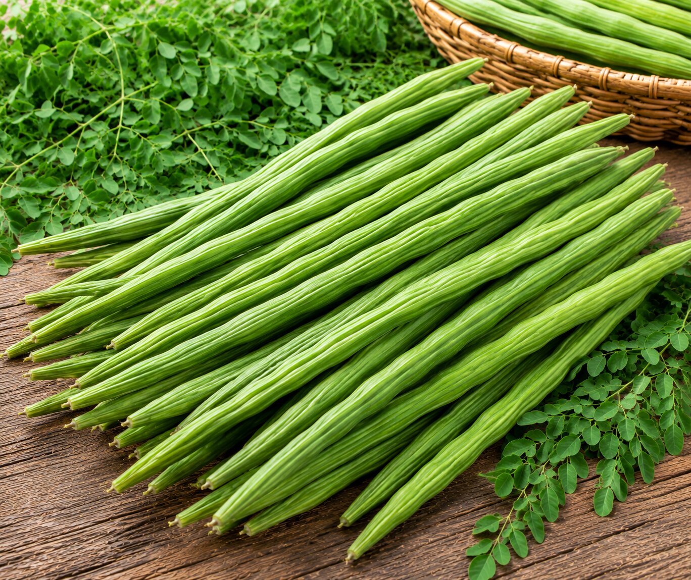 Fresh green moringa drumstick pods, long and ridged