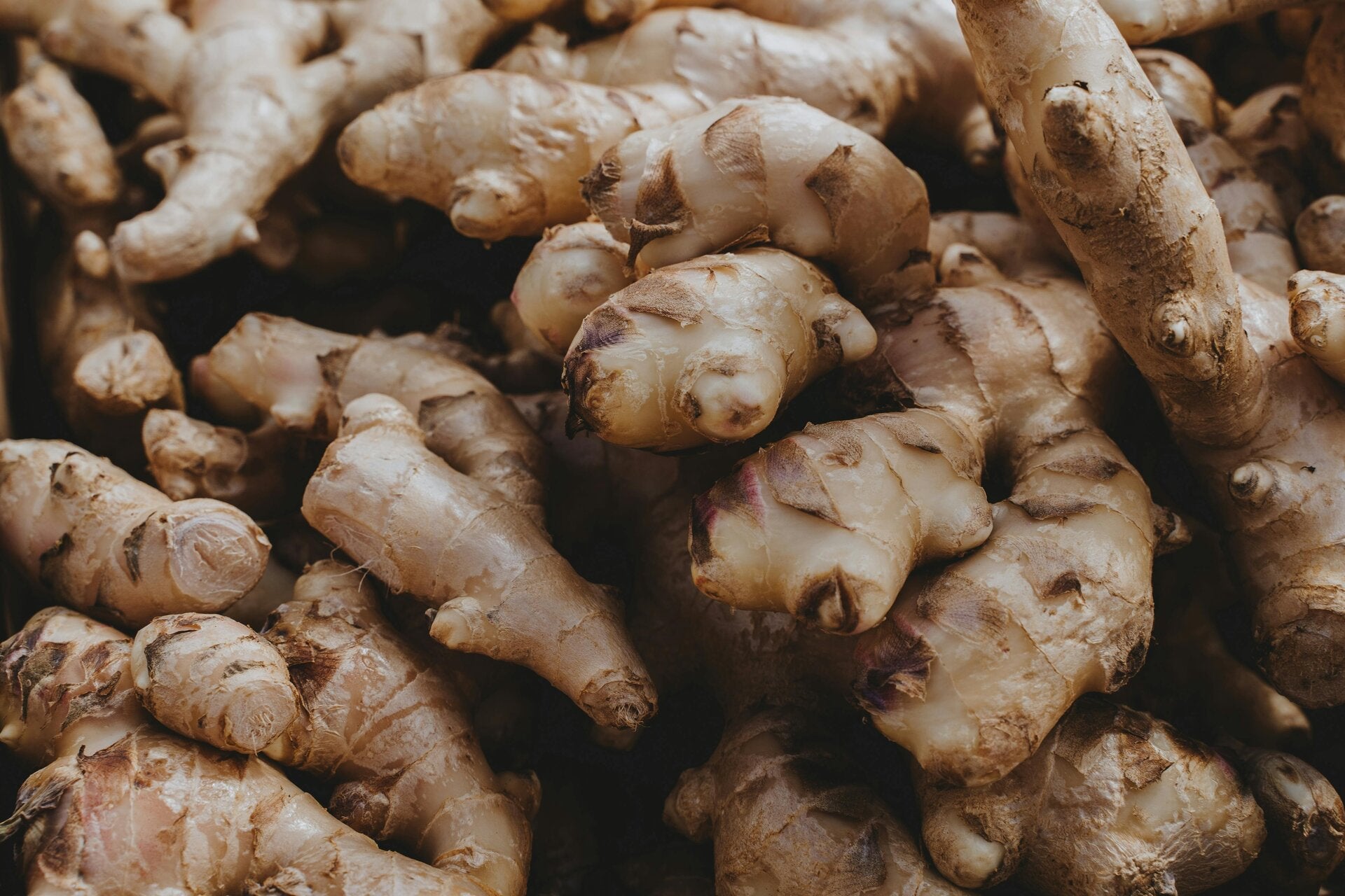 Fresh ginger rhizomes with knobby pale brown skins