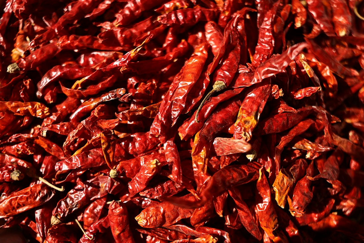Dried whole red chilli pods with stems
