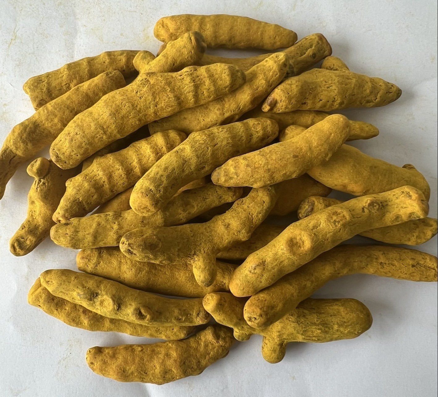 Whole dried turmeric fingers with golden yellow color